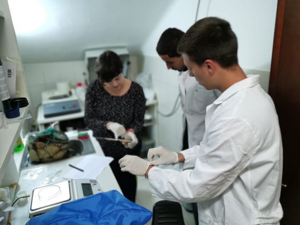 10 The BLUE KEP project towards its end