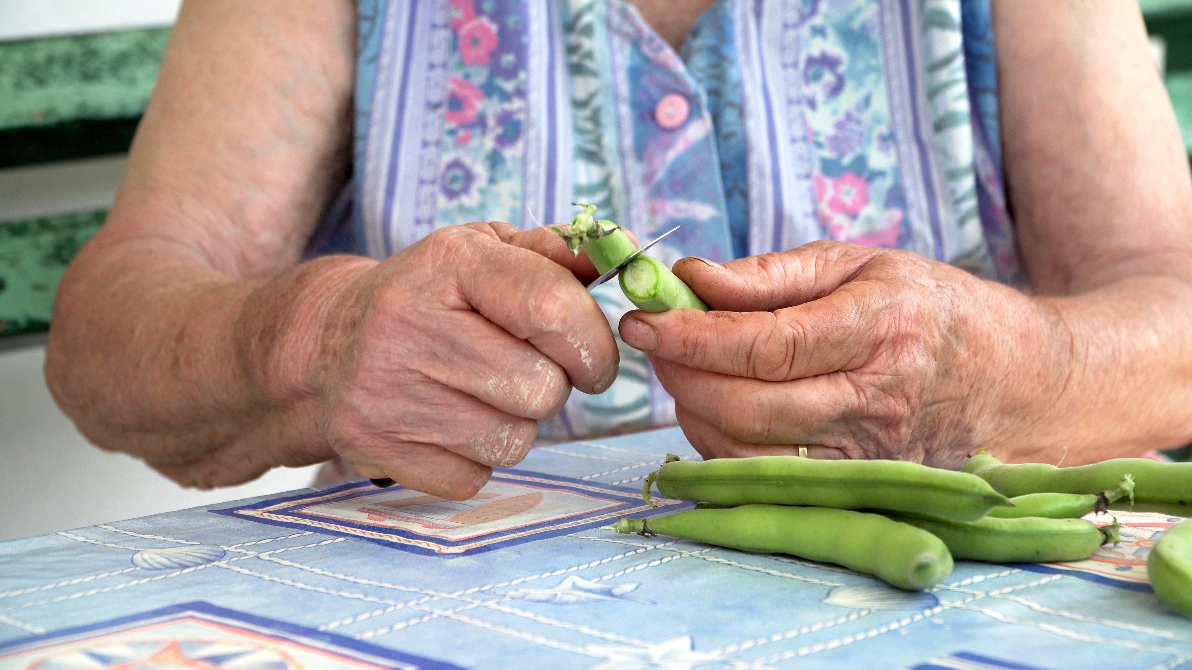 ARTVISION+ videos are online