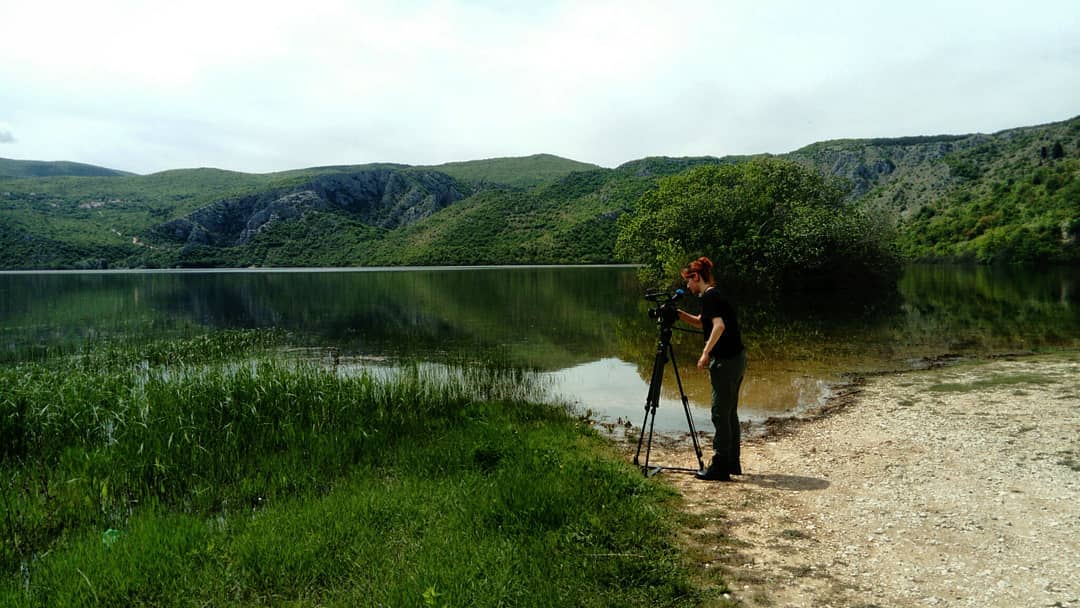 Split | Basic School of Auteur Film making