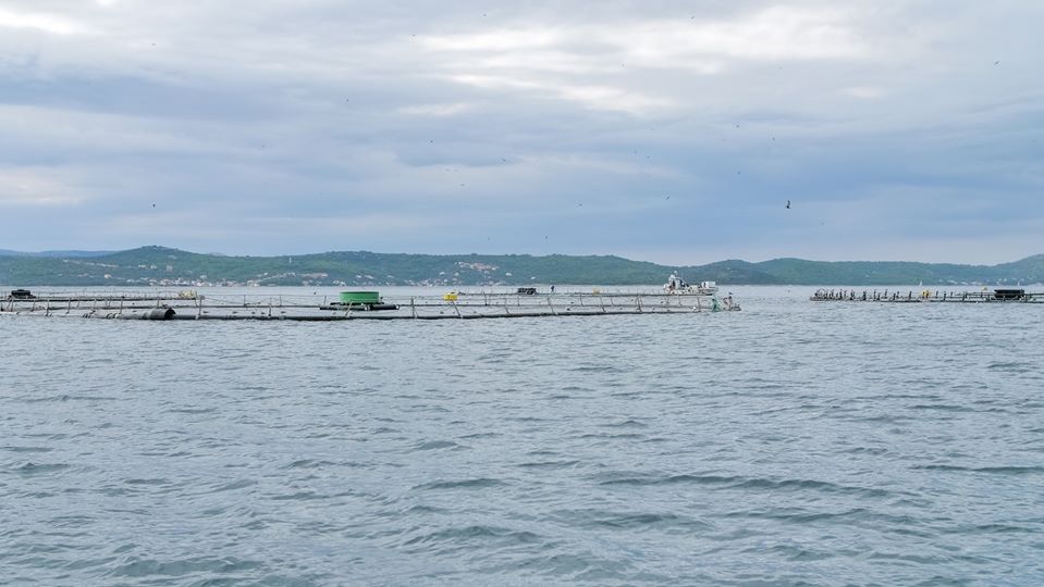 DORY FINAL CONFERENCE IN VENICE 20 September 2019