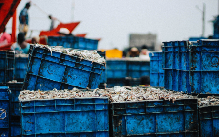 CHARGE Capitalisation and Harmonisation of the Adriatic Region Gate of Europe