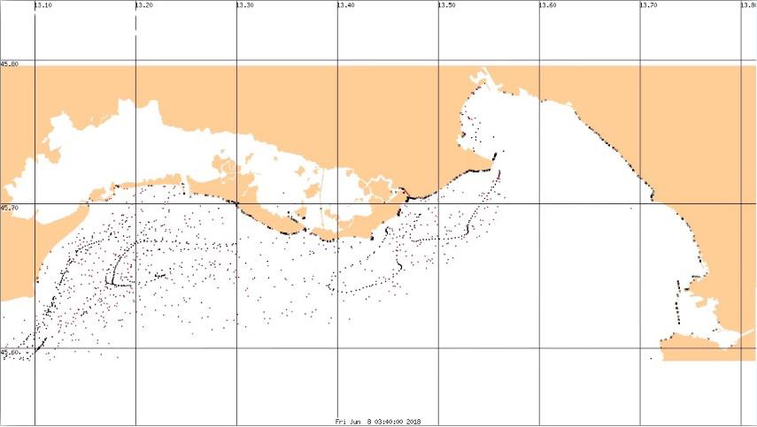 Model of dispersion of MARINE LITTER in the Adriatic Sea: the experience of MARLESS