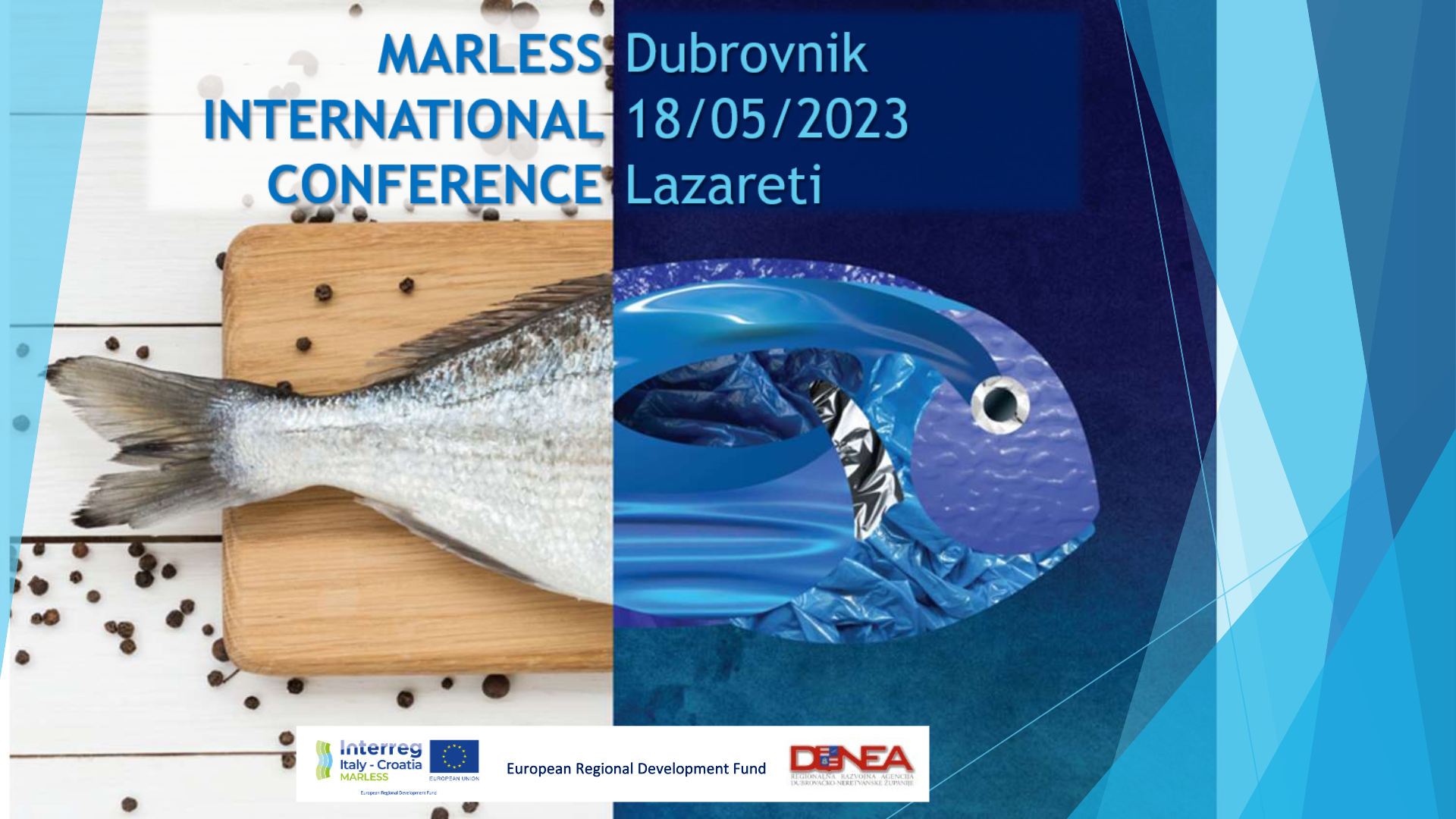 MARLESS INTERNATIONAL CONFERENCE