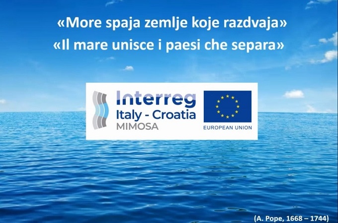 Closing MIMOSA project with a conference