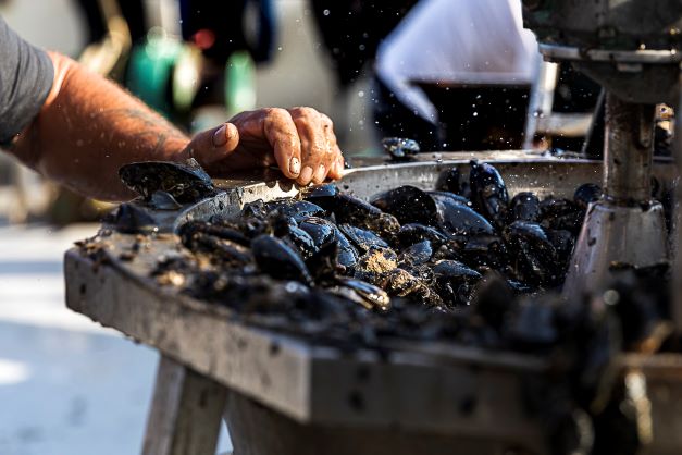 Adrireef Project goes to Sealogy - The European exhibition of Blue Economy