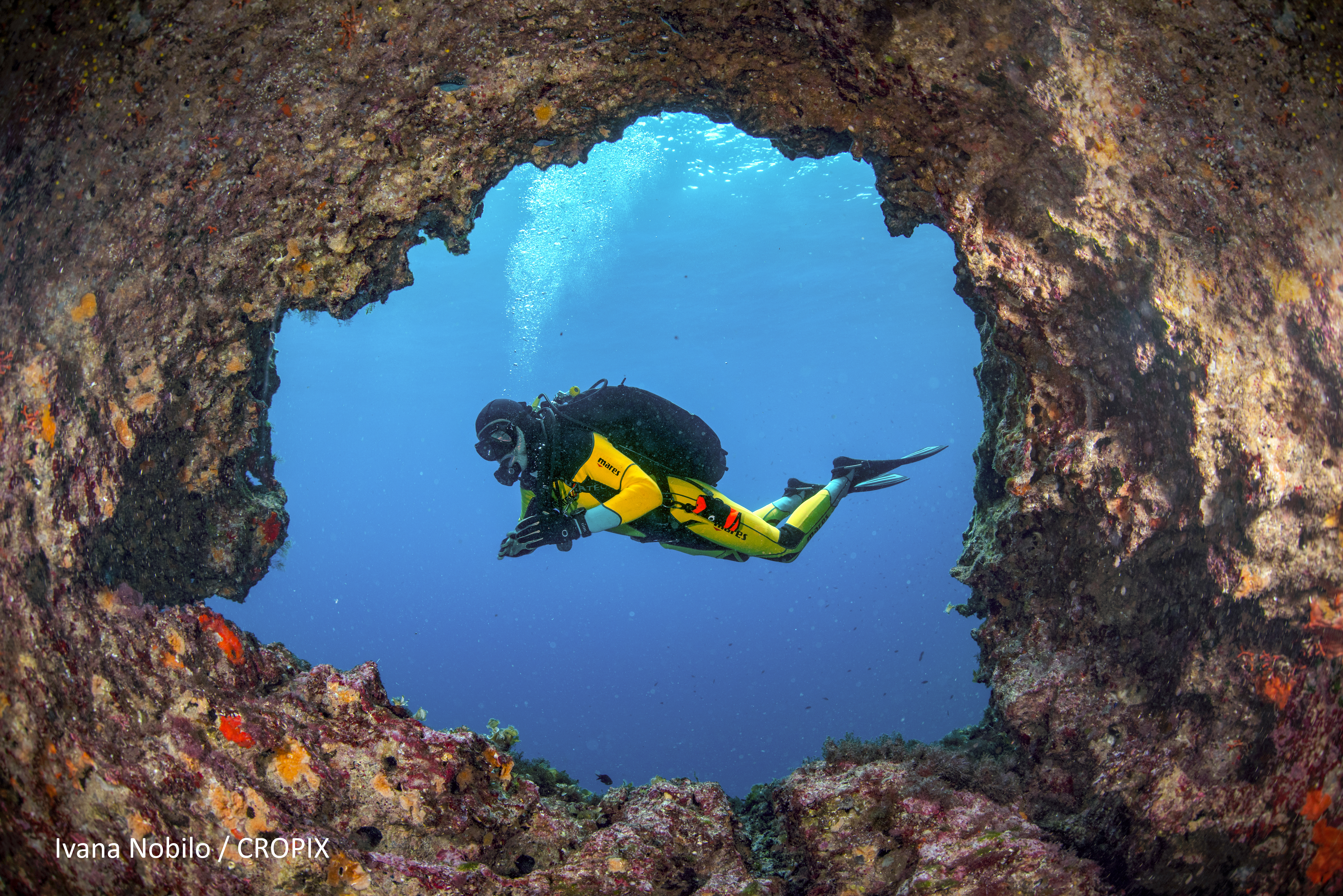 The Adrireef Final Dissemination Event - Ravenna 23rd - 24th November 2021