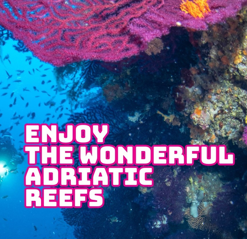 ENJOY THE WONDERFUL ADRIATIC REEFS