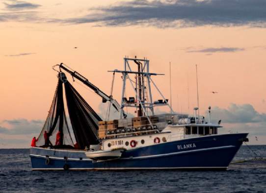 Everything is ready for the event 