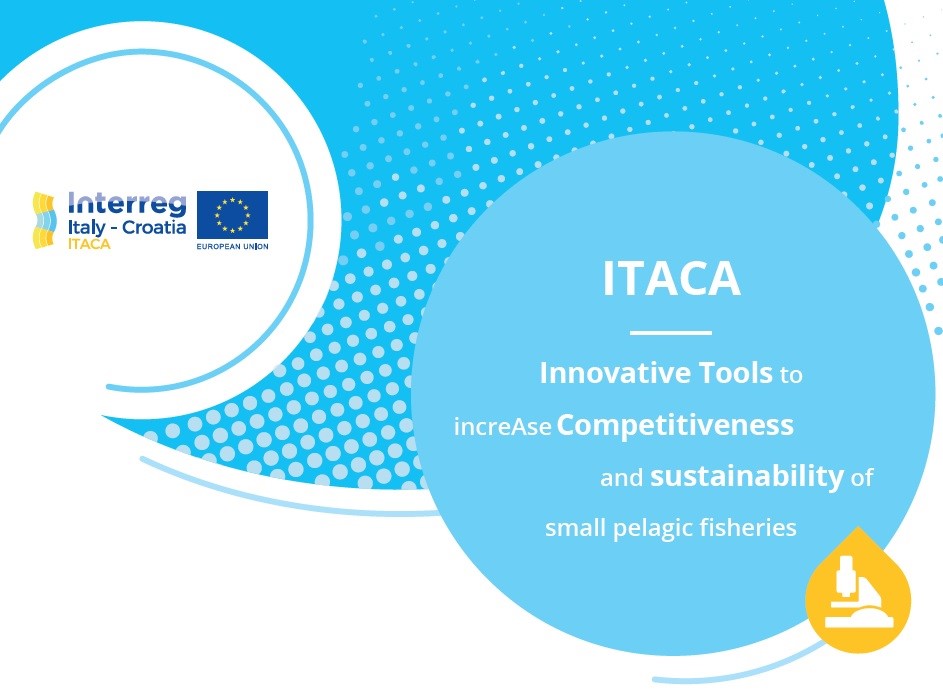 SCIENTIFIC MID-TERM CONFERENCE OF THE ITACA PROJECT