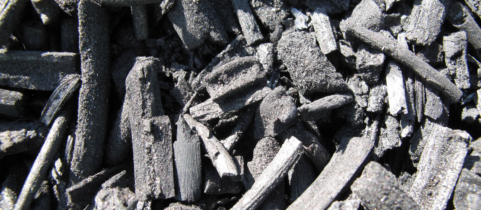 Biochar in agriculture