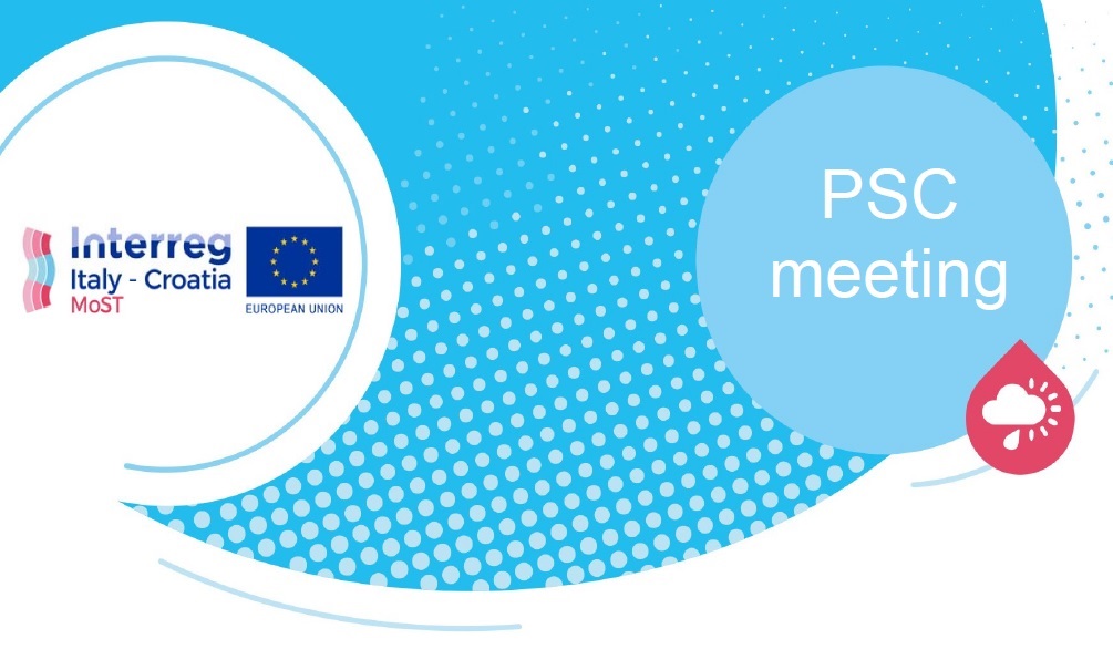 Project Steering Committee in Padua