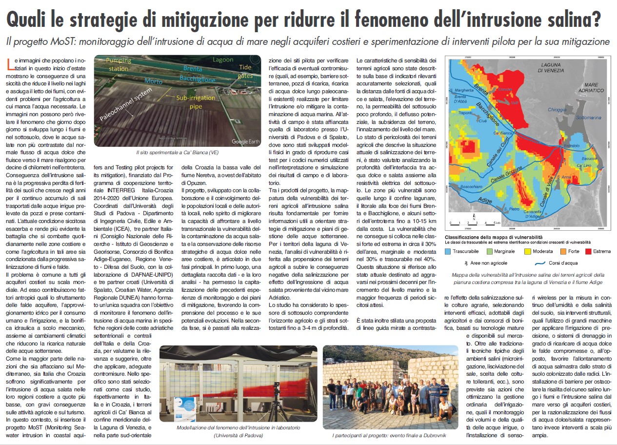 Article on daily newspaper 