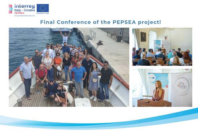PEPSEA final conference: a goodbye from the project!
