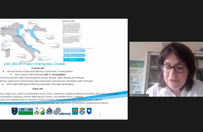 Joint_SECAP Final Conference was held successfully!