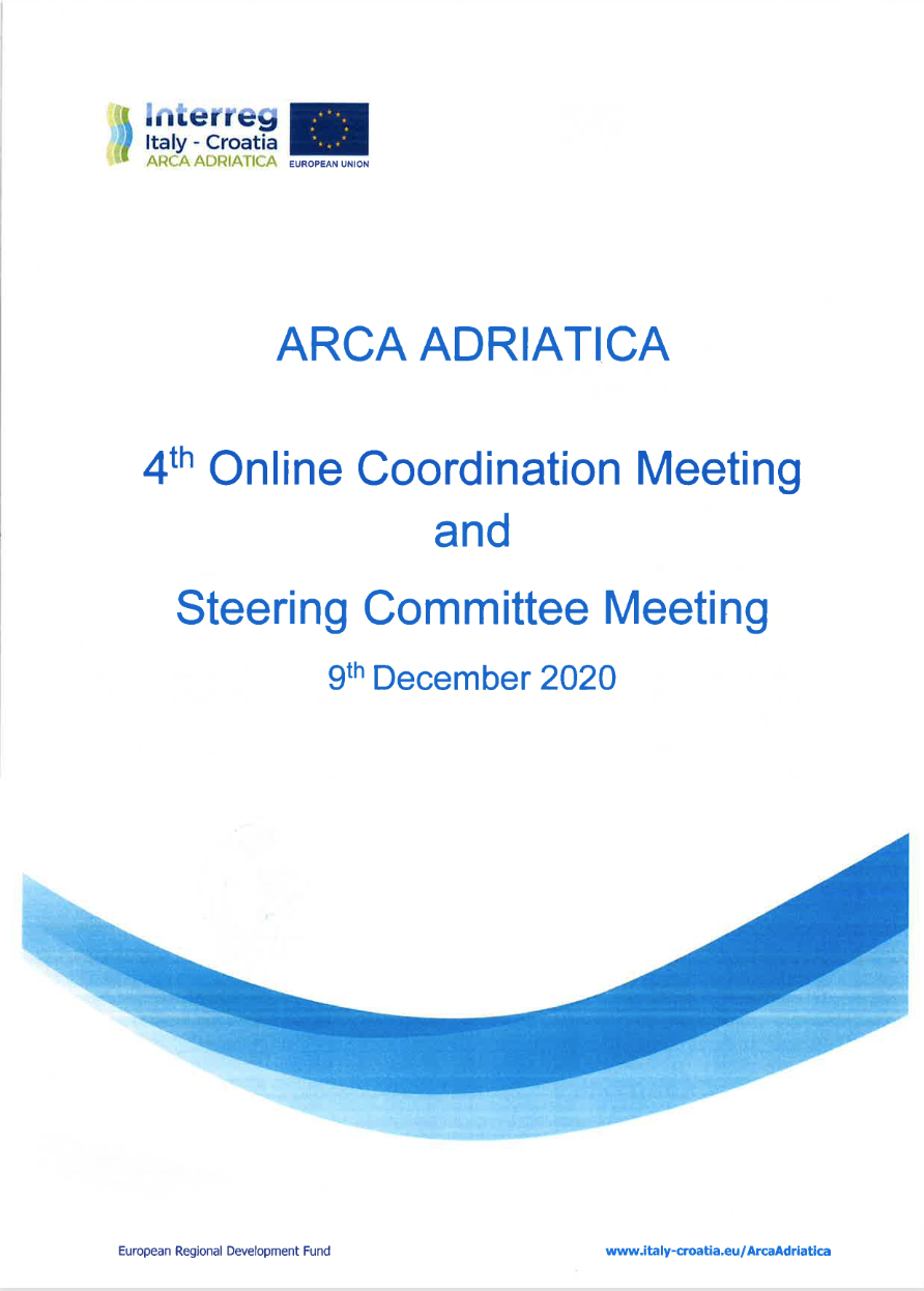 4th Online Project and Steering Committee Meeting
