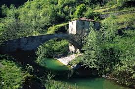 MADE IN-LAND project: Importance of protected natural areas for the conservation of biodiversity.