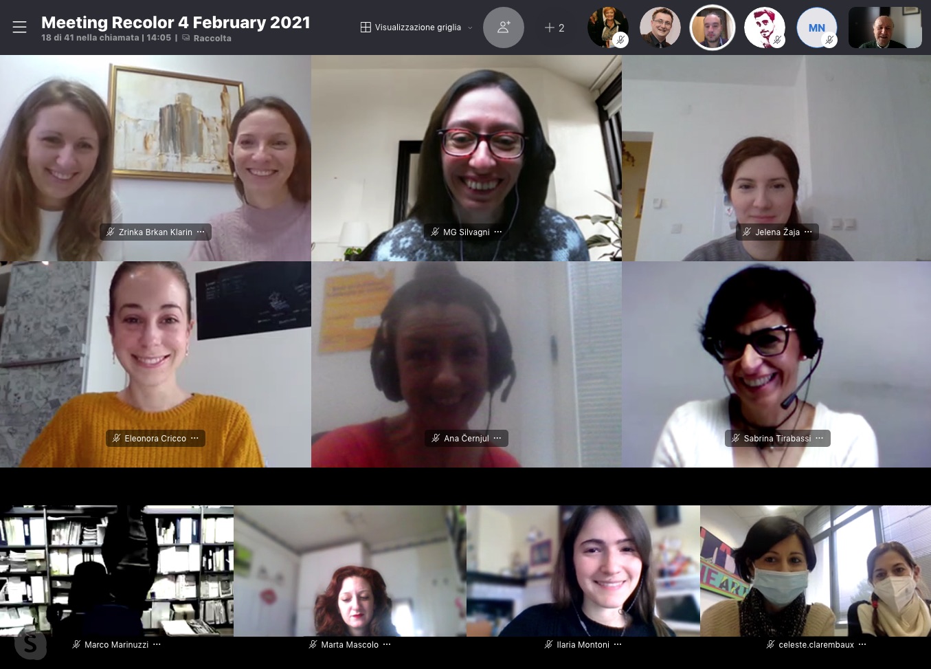 6th project meeting, Online, 4th of February, 2021.