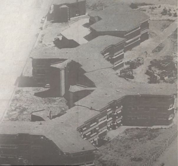 Revival Interview Cesenatico VIII