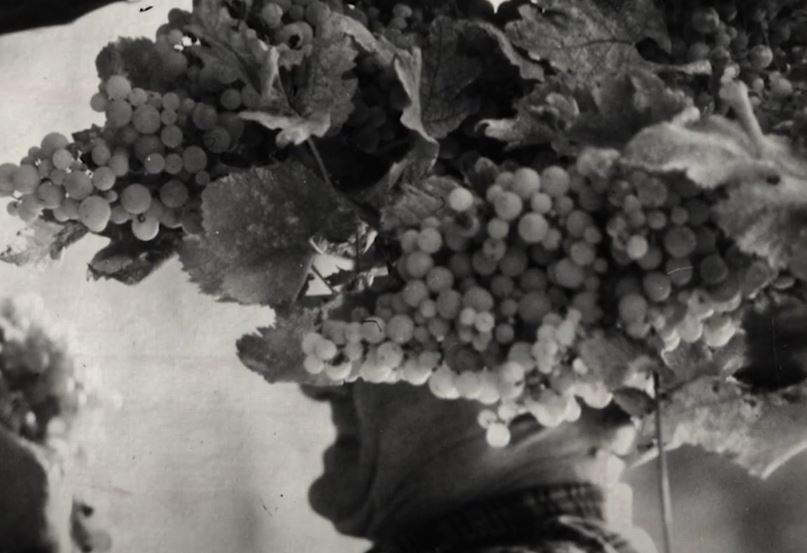 Revival Interview Cesenatico IX