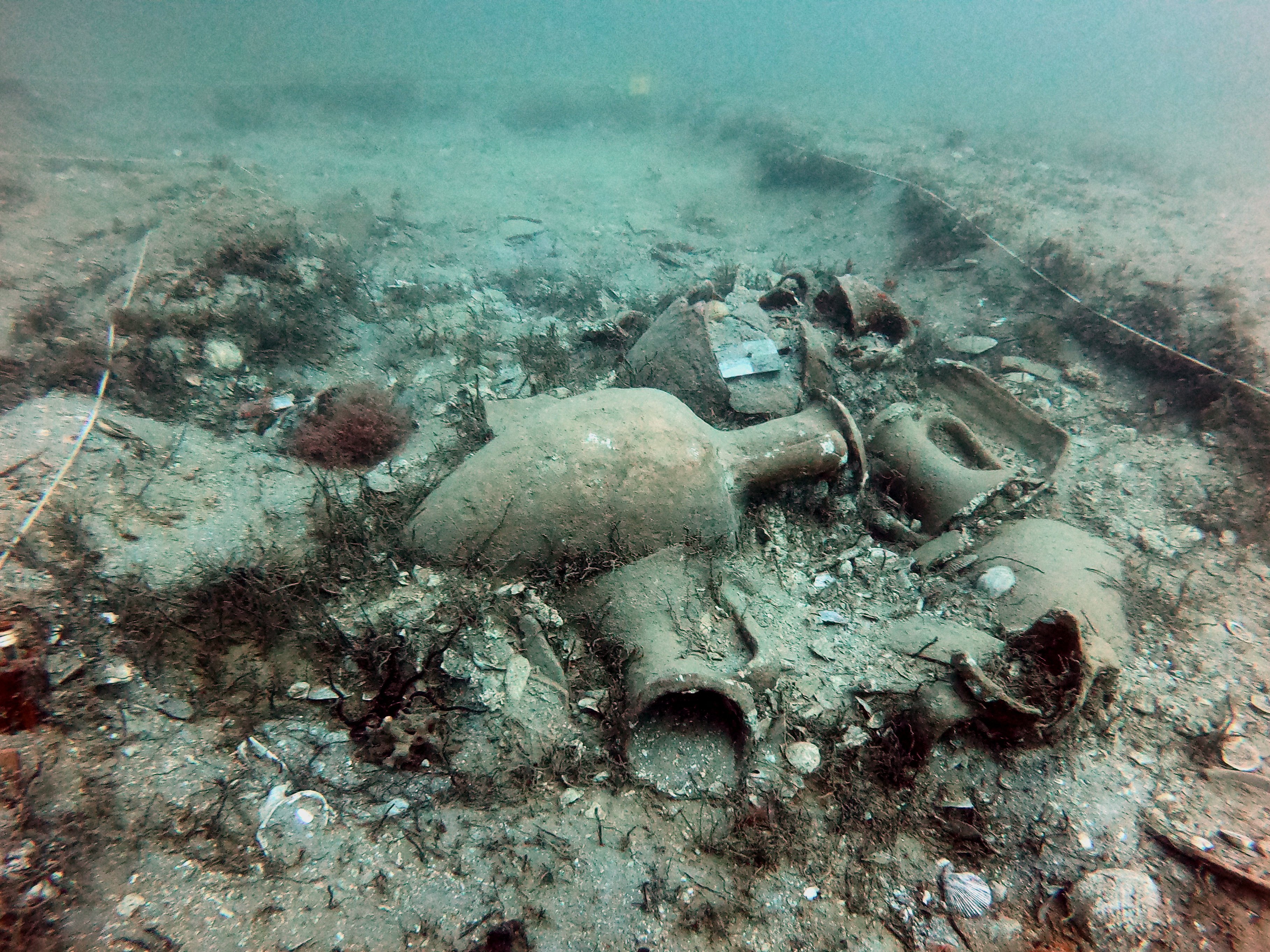 UnderwaterMuse Steering Committee and Thematic Meeting