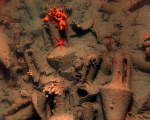 The Roman wreck of Grado opens to the public with a submerged museum and a digital one