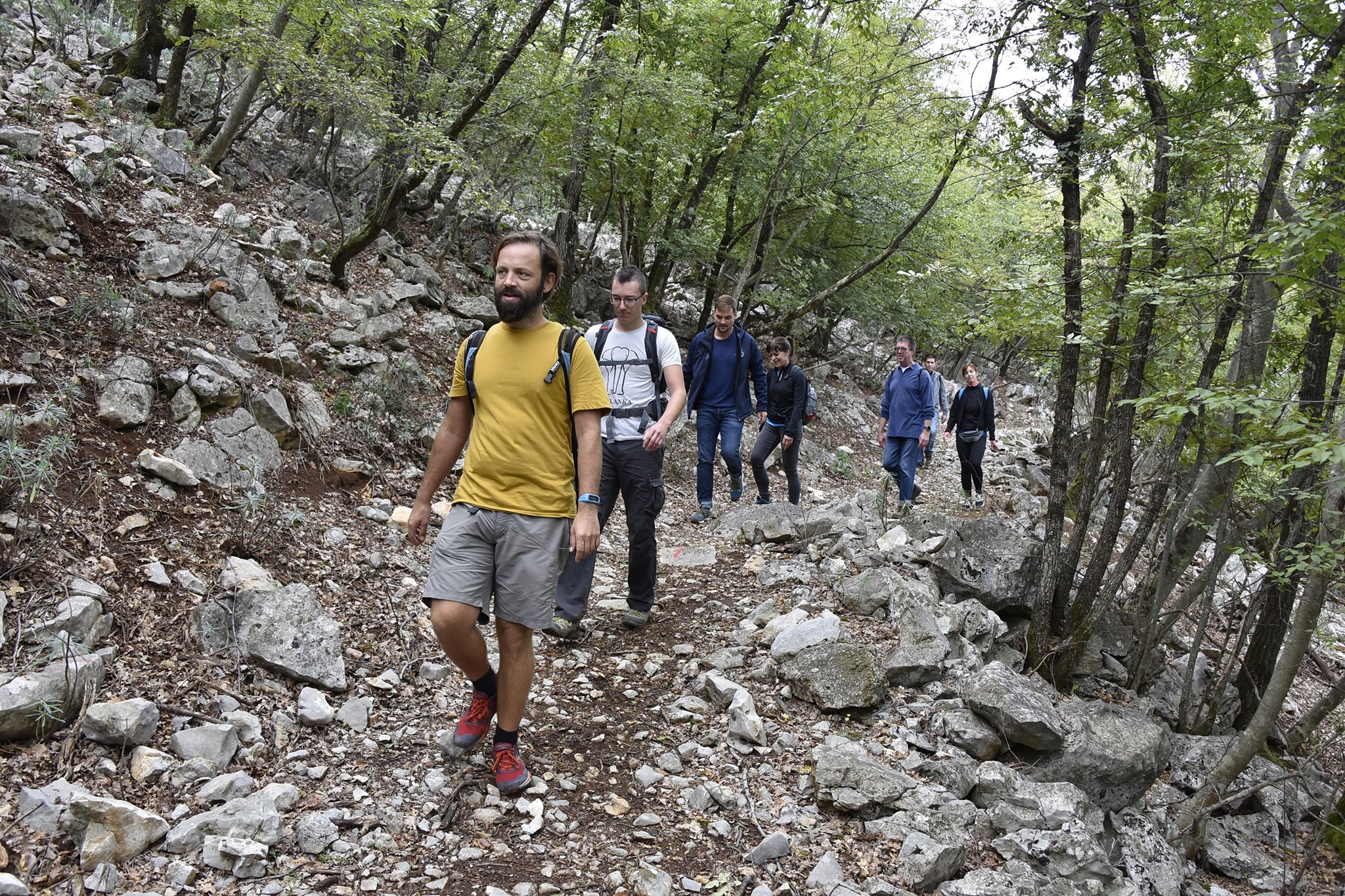 Tramuntana Forest pathways