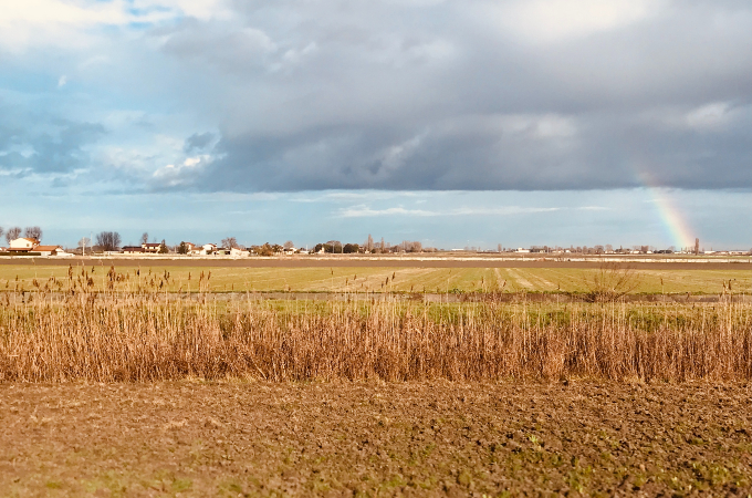 Archaeology for all for with University of Ferrara and VALUE Project