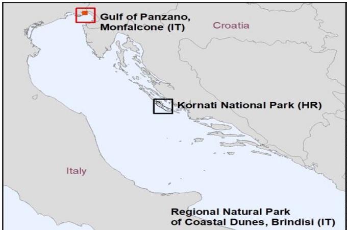 Monfalcone (Bay of Panzano) survey