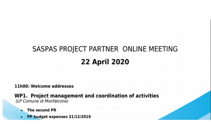 Project partner online meeting