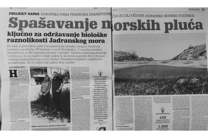 Read about SAPAS in local Croatian newspapers Novi list