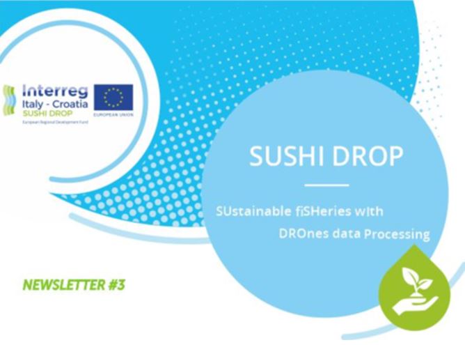SUSHIDROP PROJECT - NEWSLETTER #3