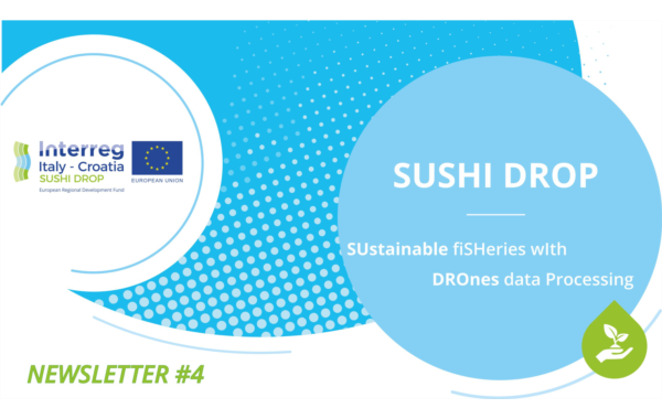 SUSHIDROP PROJECT - NEWSLETTER #4