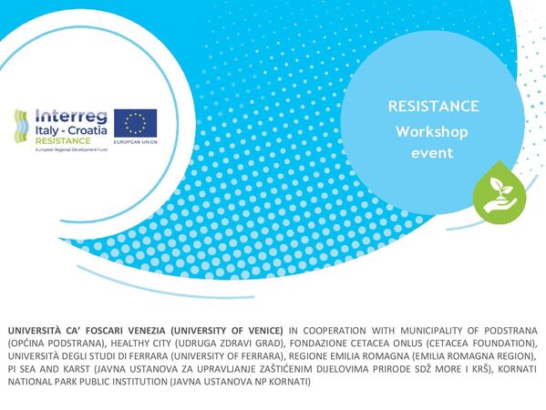 Announcement of the workshops 